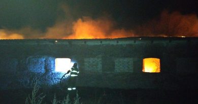 Через пожежу на фермі загинула жінка