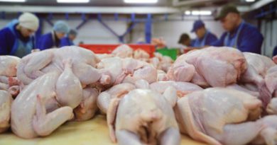 М'ясо з сальмонелою: на Рівненщину постачають отруйну курятину