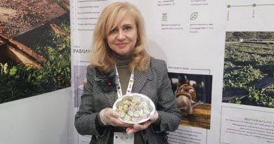 Родина з Бердянська заснувала ферму та вирощує їстівних слимаків