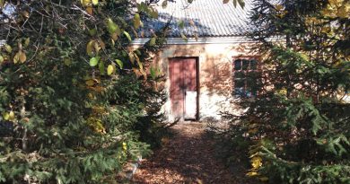 "Готові дарувати пусті хати": на Вінниччині рятують село від вимирання (фото)