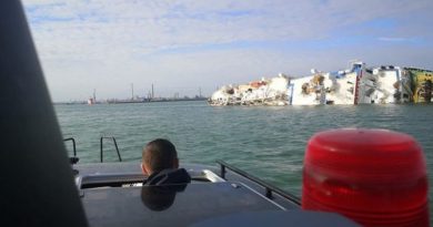 В Чорному морі перевернулося судно з 15 000 овець