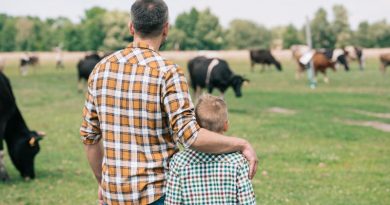 Відкрити сімейну ферму в Україні стало простіше