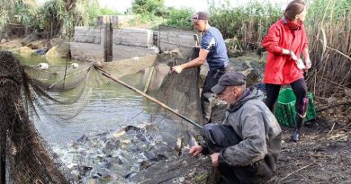 На Львівщині планують збирати чорну ікру