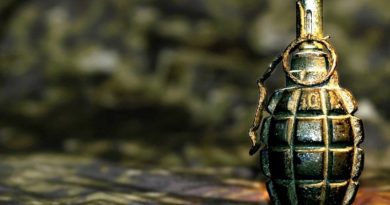 В Харківській області на фермі вибухнула граната