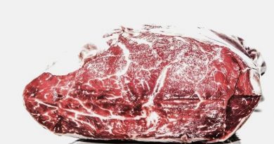 Нідерландська компанія планує виробляти "екологічне м'ясо" з пробірки