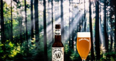 Нідерландська броварня Lowlander зварила пиво з ялинок