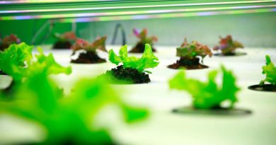 Українці розробляють інноваційну "розумну ферму"