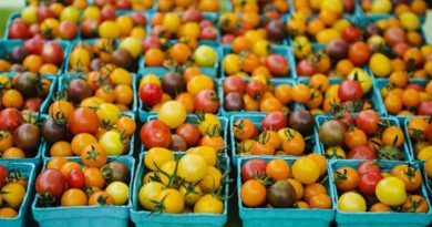 Розмір не головне: на ринку набирають популярності міні-овочі