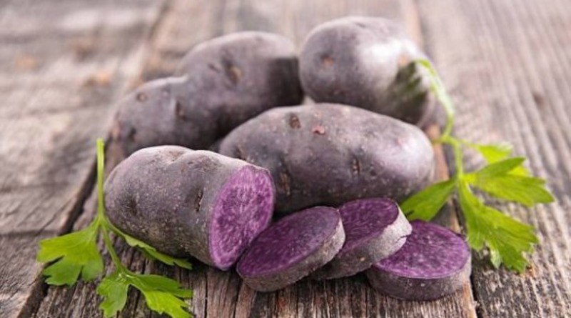 Фіолетова картопля користь