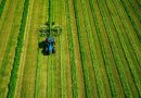 Сільгоспземля в Україні за рік подорожчала на 26% — Опендатабот