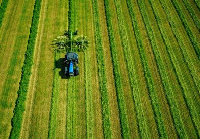 Сільгоспземля в Україні за рік подорожчала на 26% — Опендатабот Сільгоспземля в Україні за рік подорожчала на 26% — Опендатабот