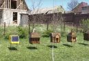 A “smart beehive” with solar panels was developed in Ukraine A “smart beehive” with solar panels was developed in Ukraine