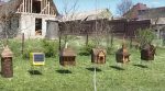 A “smart beehive” with solar panels was developed in Ukraine