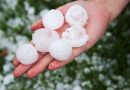 A major hailstorm affected farms in Serbia A major hailstorm affected farms in Serbia