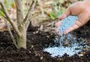The quota for fertilizer import to be introduced in Ukraine The quota for fertilizer import to be introduced in Ukraine