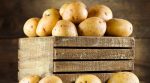 У Новій Зеландії пара виростила картоплину вагою 8 кілограм