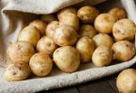 Смачна та некалорійна: у Німеччині вивели новий сорт дієтичної картоплі