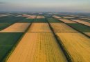 Вартість сільськогосподарських земель зросла у західних та центральних областях