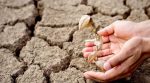 У 2021 році Україні загрожує серйозна посуха