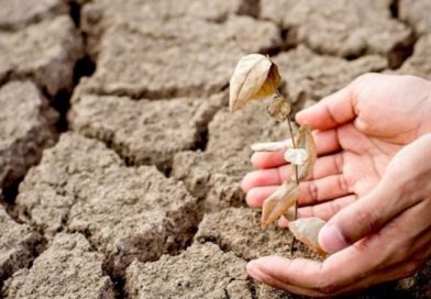 Українські аграрії мають 7–10 років для адаптації до змін клімату — Укргідрометцентр