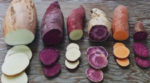 Фермер на Львівщині вирощує екзотичну “солодку картоплю”