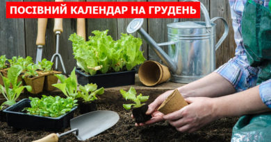 посівний календар