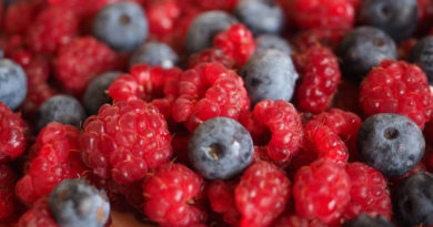 плодові культури