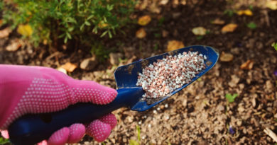 мінеральні добрива