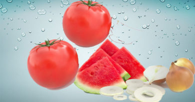 кавуни та помідори