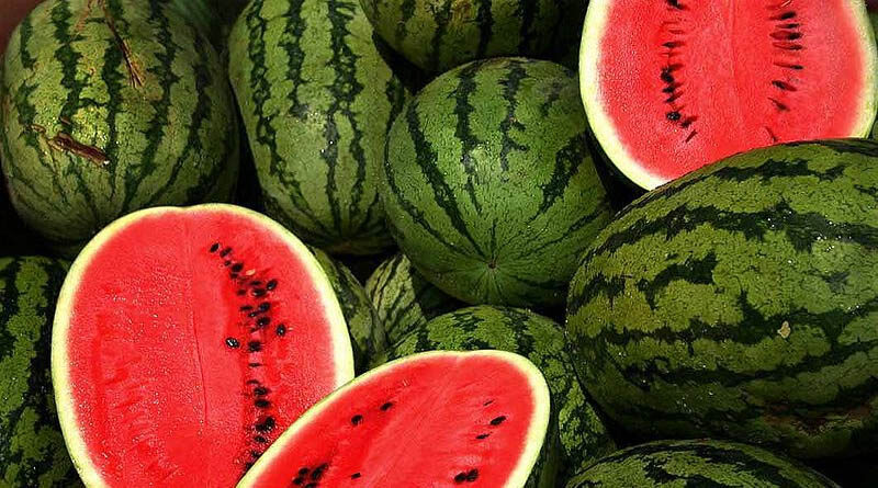watermelon