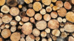 Україна зупиняє експорт паливної деревини