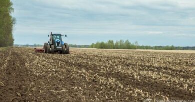 bexkoshtovne nasinnia