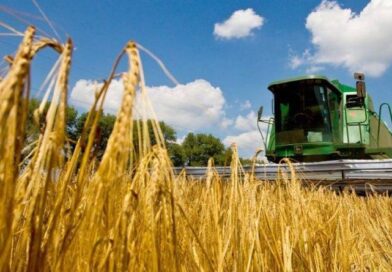 Уряд розробляє програму кредитування під заставу зібраного врожаю Уряд розробляє програму кредитування під заставу зібраного врожаю