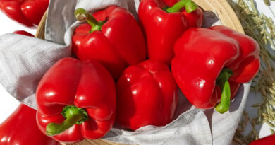Суперурожайний солодкий перець: найкращі сорти, що витримують і спеку, і холод