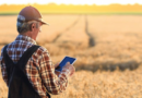 В Україні створили цифрового помічника для фермерів