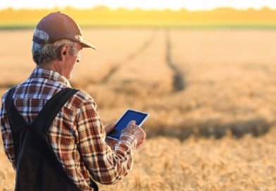 В Україні створили цифрового помічника для фермерів