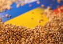 В серпні Україна експортувала 1,4 млн тонн агропродукції – Мінагрополітики