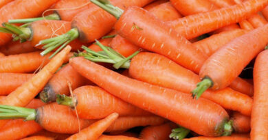 carrot