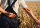 Озвучено головні проблеми аграрного сектору у 2025 році