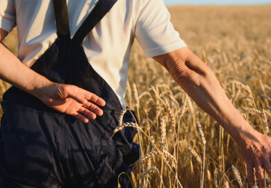 Озвучено головні проблеми аграрного сектору у 2025 році