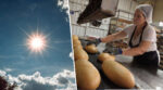 На Вінниччині випікають хліб використовуючи енергію сонця