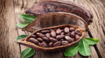 Рекордно високі ціни на какао вплинуть на вартість шоколаду у світі