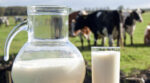 У світі набирає популярності новий тренд у виробництві молока