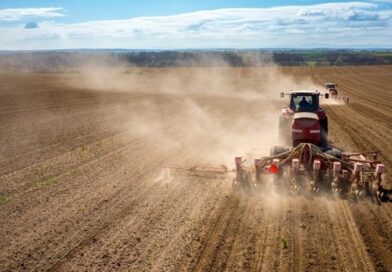 Витрати українських аграріїв на посівну цьогоріч зросли приблизно на 5% Витрати українських аграріїв на посівну цьогоріч зросли приблизно на 5%