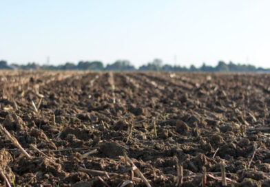 Деградація ґрунтів в Україні прискорилася під час війни — Ukravit Institute Деградація ґрунтів в Україні прискорилася під час війни — Ukravit Institute