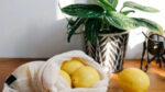 Лимон у вашому домі: поради з вирощування від кісточки до плодів
