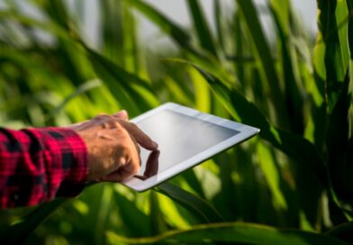 Частина українців може не платити земельний податок у 2026 р