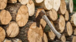 Стало відомо, скільки дров можна заготовити на зиму, щоб не отримати штраф