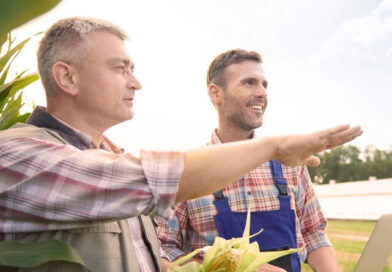 Уряд запускає державну підтримку страхування агропродукції