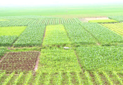 В Україні частково відновили позапланові перевірки земель В Україні частково відновили позапланові перевірки земель